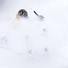 POW!. Foto: Jesper Molin. Fahrer: Henrik Utter.