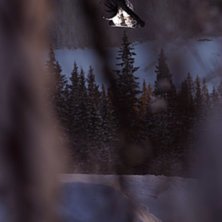 Sk&ouml;n dag i parken med pappa Jesper Molin och jag!. Foto: Johan St&aring;hlberg. Fahrer: Vet ni vem?.