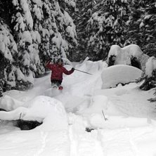 Sn&ouml;n bl&aring;ste ned i skogen.... Foto: Anna H&uuml;binette. Fahrer: Magnus Eriksson.