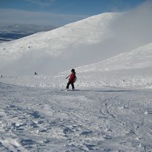 i &aring;re.. Foto: Agnes Wiklund. Fahrer: Andrea.