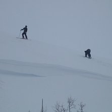 Foto: T.Bergman.