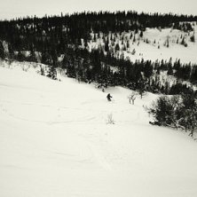Foto: Marcus Jernstr&ouml;m. Fahrer: Petter Bj&ouml;rnsson.