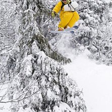 Foto: Jesper Molin. Fahrer: Henrik Utter.