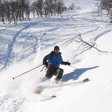 Mats ute p&aring; gr&ouml;nbete igen efter en stunds uppeh�. Foto: Tomas Halvarsson. Fahrer: Mats Synnersten.