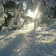 Tegefj&auml;ll kl. 09 -25 grader. Foto: Barbie. Fahrer: Barbie.