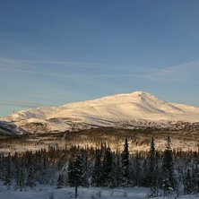 Tagen fr&aring;n &Aring;re Bj&ouml;rnen &ouml;ven &Aring;reskutan en tidi. Foto: Klas Emanuelson. Fahrer: &Aring;reskutan.