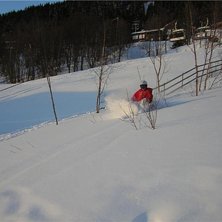 Foto: Marcus  L&ouml;fvenberg. Fahrer: Mattias  L&ouml;fvenberg.