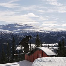 Foto: Cecilia V&auml;h&auml;nikkil&auml;. Fahrer: M&aring;rten Bergkvist.