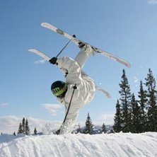 En liten handplant sis&aring;d&auml;r. Foto: Victor Sj&ouml;berg. Fahrer: Andreas &Ouml;jbrandt.