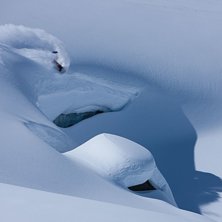 Foto: Anders &Ouml;dman. Fahrer: Christoffer Granbom.