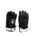 Picture Source Glove 2014