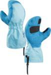 Arcteryx Lithic Mitten Women's 2016